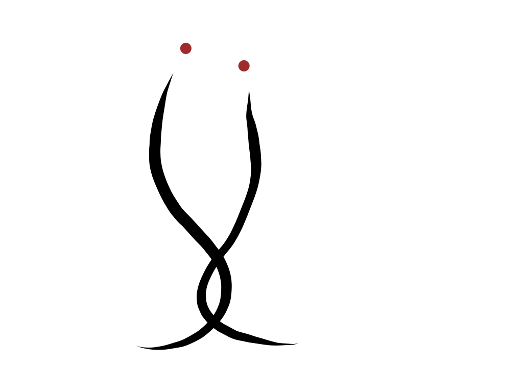 Coachingwerkstatt Partner